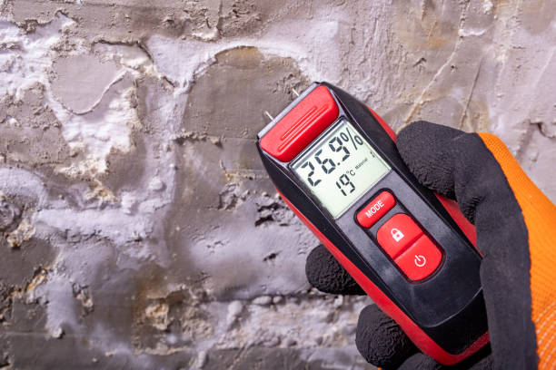 Mold Removal and Inspection in Campti, LA