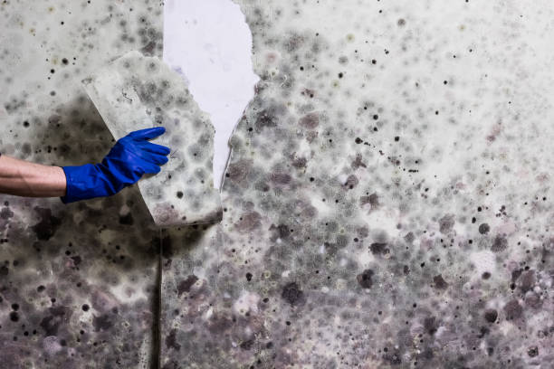 Water Damage Restoration in Campti, LA